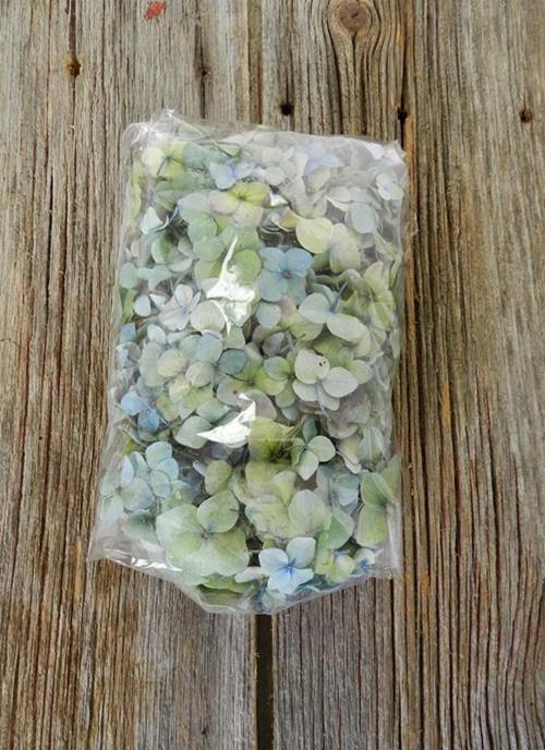 250 GRAMS BAGGED HULK BI-COLOR BLUE/GREEN HYDRANGEA PETALS